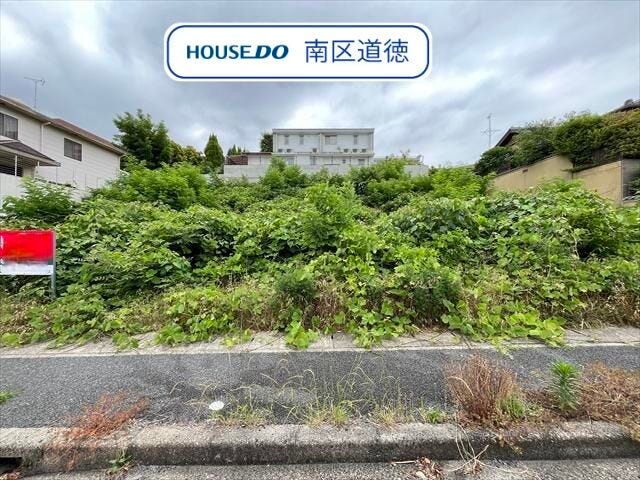 【外観】
約66.38坪のゆとりある広さのお土地です!
緑豊かで治安も良好なエリア。