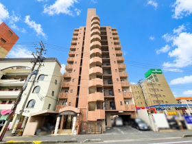 概観画像