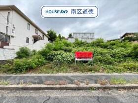 概観画像