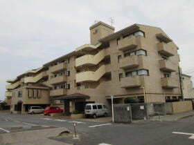 概観画像
