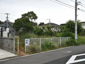概観画像