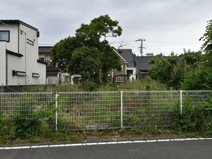 外観を南側より撮影