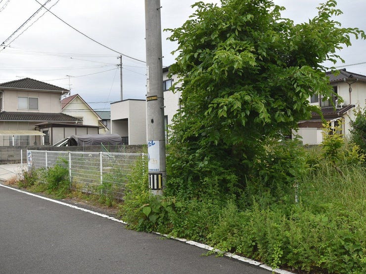 外観を南東側より撮影