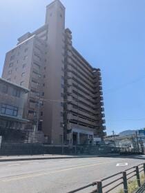 概観画像
