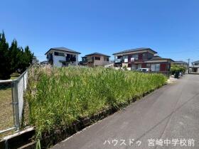 概観画像
