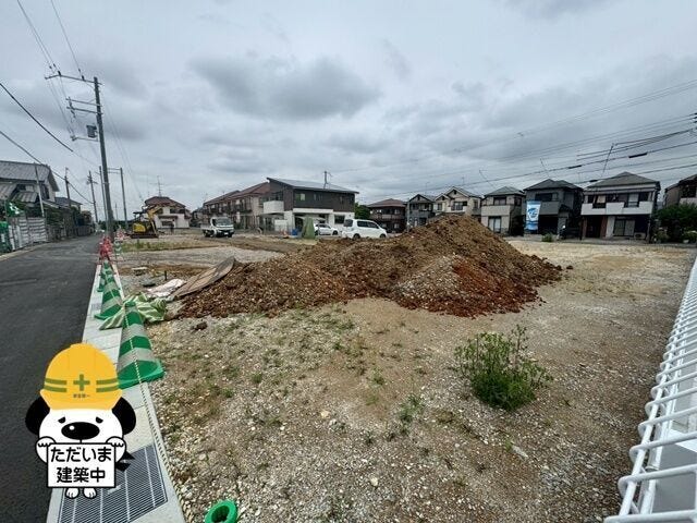 2026年5月撮影