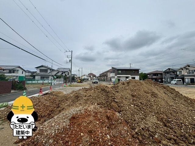 2026年5月撮影