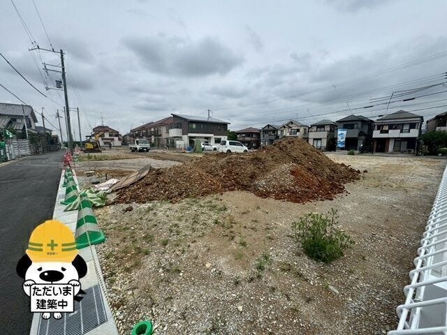 2026年5月撮影