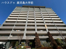 概観画像