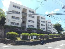 概観画像