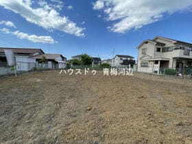 概観画像