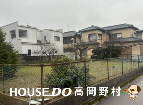 概観画像