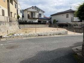概観画像