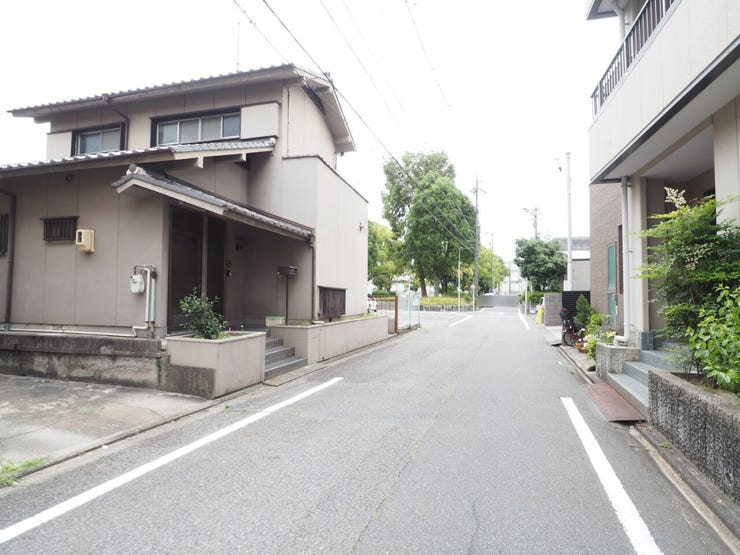 現地写真(2026.6.5)