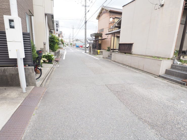 現地写真(2026.6.5)