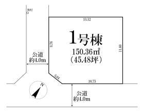 概観画像