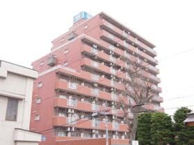 概観画像