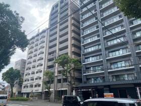 概観画像