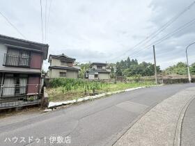 概観画像