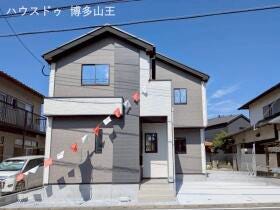 概観画像
