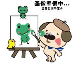 概観画像
