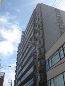 概観画像
