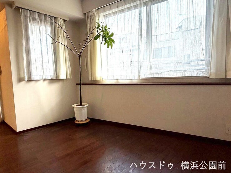 窓も大きく採光が取れたLDKです。日中を明るく過ごすことができます。