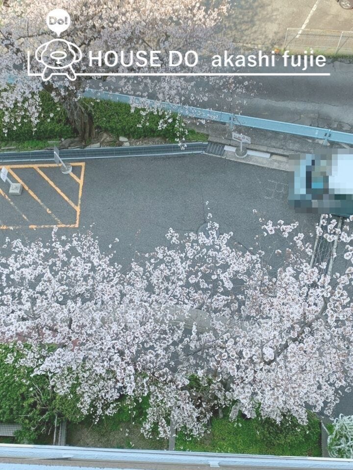 2026.4.3撮影
お問合せお待ち致しております!
【お問合せ フリーダイヤル:0120-077-712】