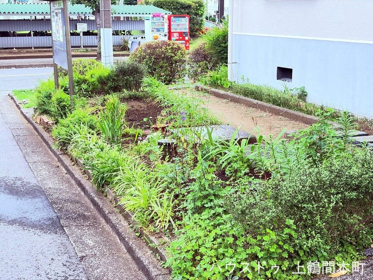 相武台団地の敷地に息づく豊かな草木が、春の芽吹きから秋の紅葉まで四季折々の彩りを届ける。南東の陽光を受けてみずみずしく輝く緑が、日々の暮らしに潤いをそえる。