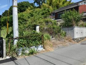 概観画像