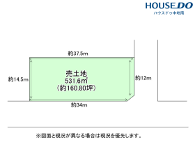 概観画像