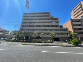 概観画像