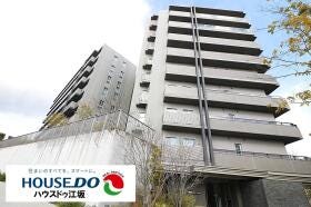 概観画像