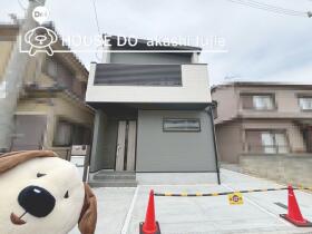 概観画像
