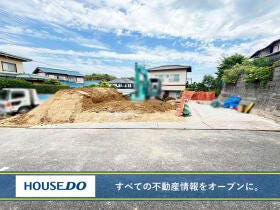 概観画像