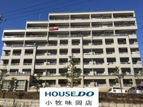概観画像