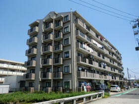 概観画像