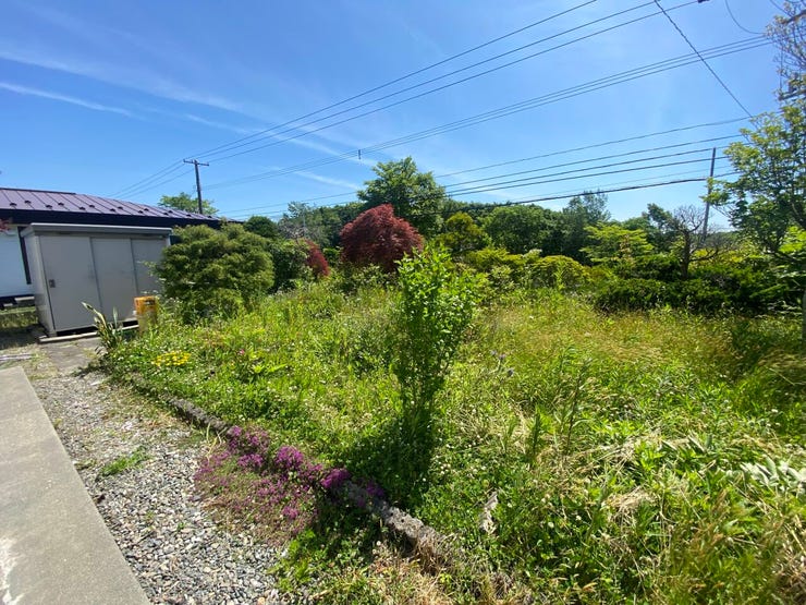 ■お庭です!
■家庭菜園もできます!