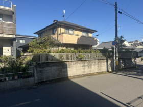 概観画像