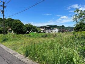 概観画像
