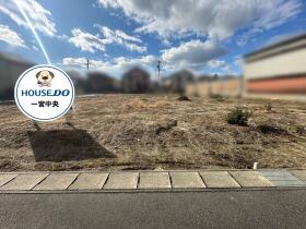 概観画像