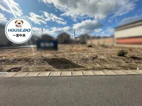 概観画像