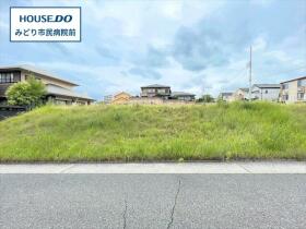 概観画像