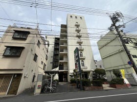 概観画像
