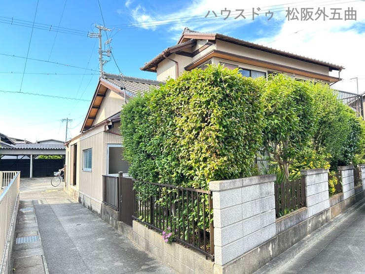 南西から北東に向かって撮影