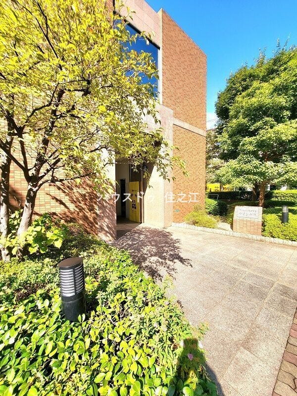 ★解放感のある入口で明るい印象を受けますね♪