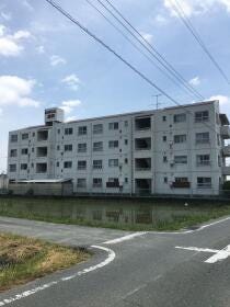 概観画像
