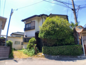 概観画像