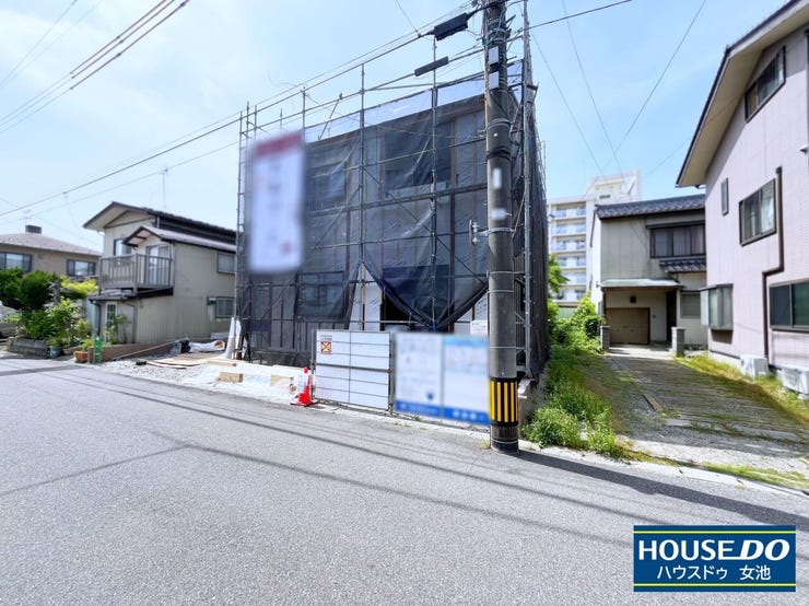 2026年6月撮影