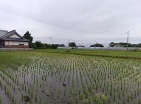 概観画像